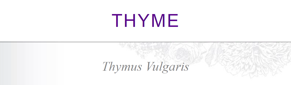 thyme-3