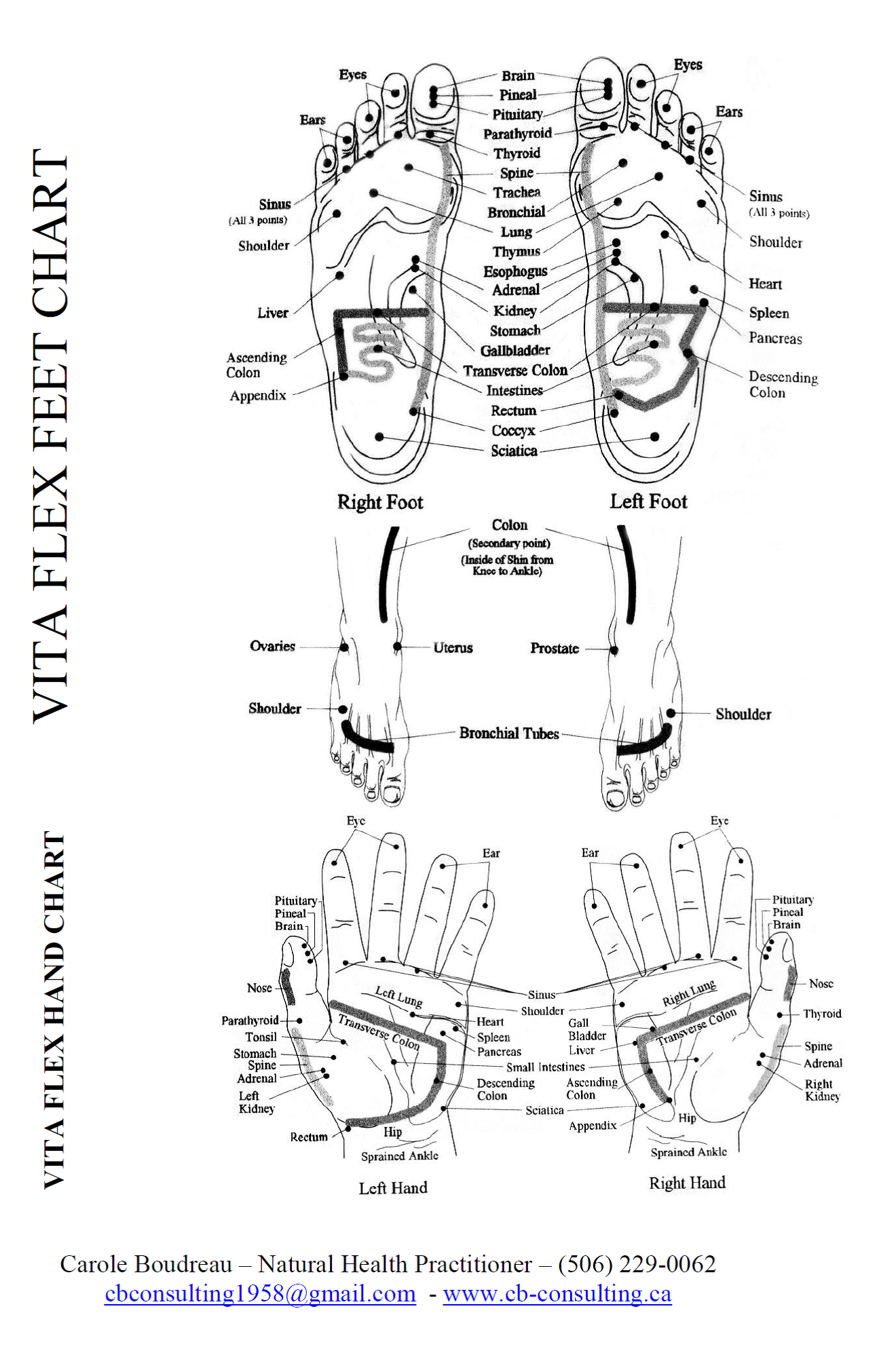 Vita Flex Foot Chart